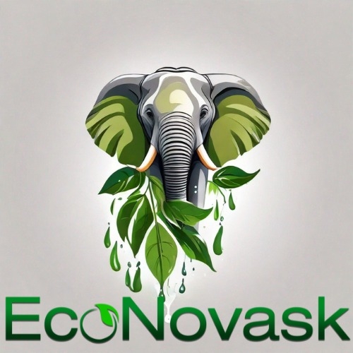 Econovask AS