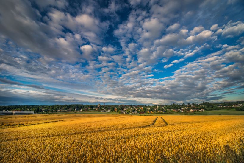 cleaning company Askim