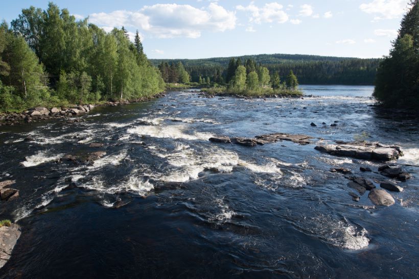 cleaning company Elverum